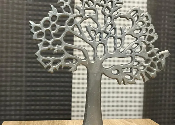 Real Dreams * Sant Jaume d'Enveja